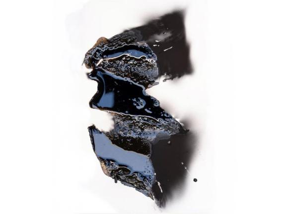 Olivia Parker, Persephone's Grafitti Ink 110, 2022