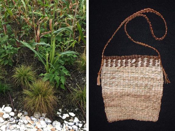 At left: corn growing in Elizabeth James-Perry’s installation, Raven Reshapes Boston; at right: a tightly woven corn husk bag