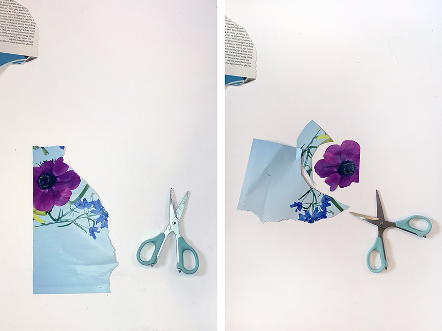 Image of flower cut out from page from a magazine