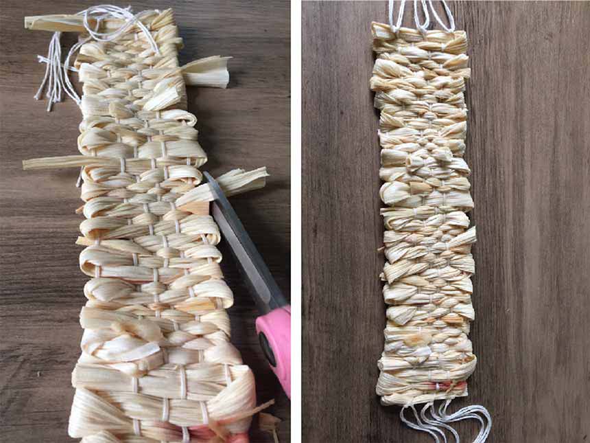 using scissors to trim ends of corn husks that are sticking out