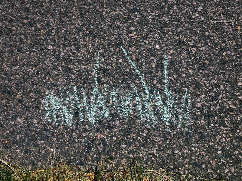 chalk drawing of grass blades on asphalt