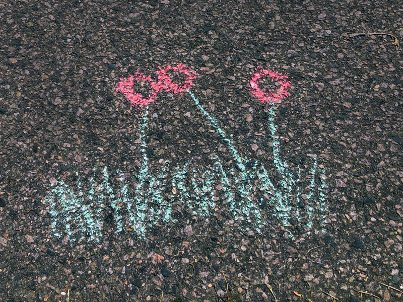 chalk drawing of red flowers and grass on asphalt