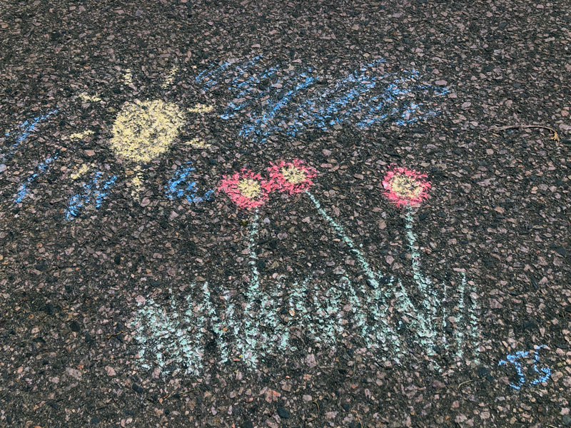 chalk drawing of sun shining down on red flowers and grass on blue sky backdrop