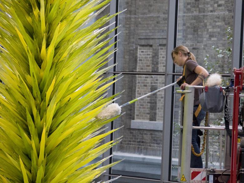 Collections care staff dust Dale Chihuly’s Lime Green Icicle Tower