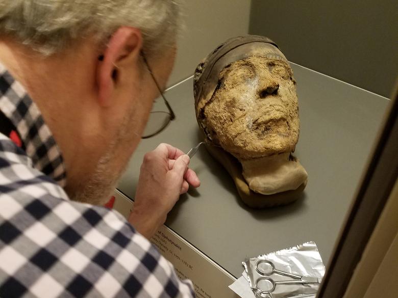 Research scientist sampling a textile from the head of a mummy for radiocarbon dating