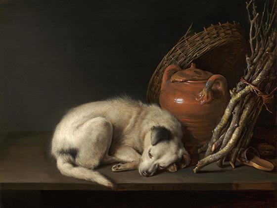 A small white dog sleeps next to a jar and bunch of sticks.