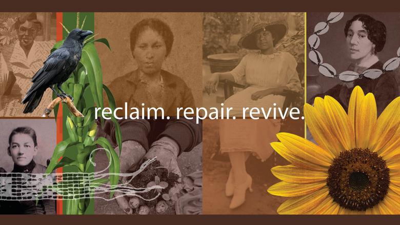 Digital collage featuring photographs of Indigenous American and African American women, a sunflower, a crow, a cornstalk, and shells.