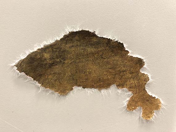 Paper fill formed in the exact shape of the loss on the Lion Rampant’s thigh