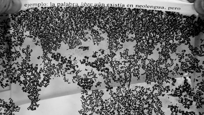 Black-and-white image of dark scribbles beneath text in Spanish.