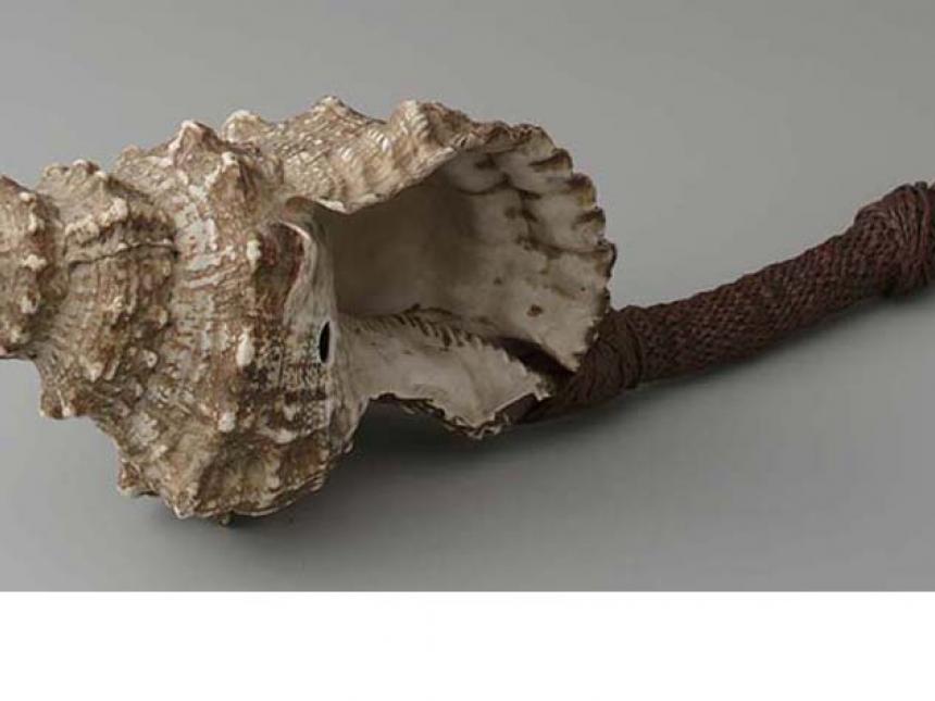 Detail of 19th century shell trumpet (davui) from Fiji