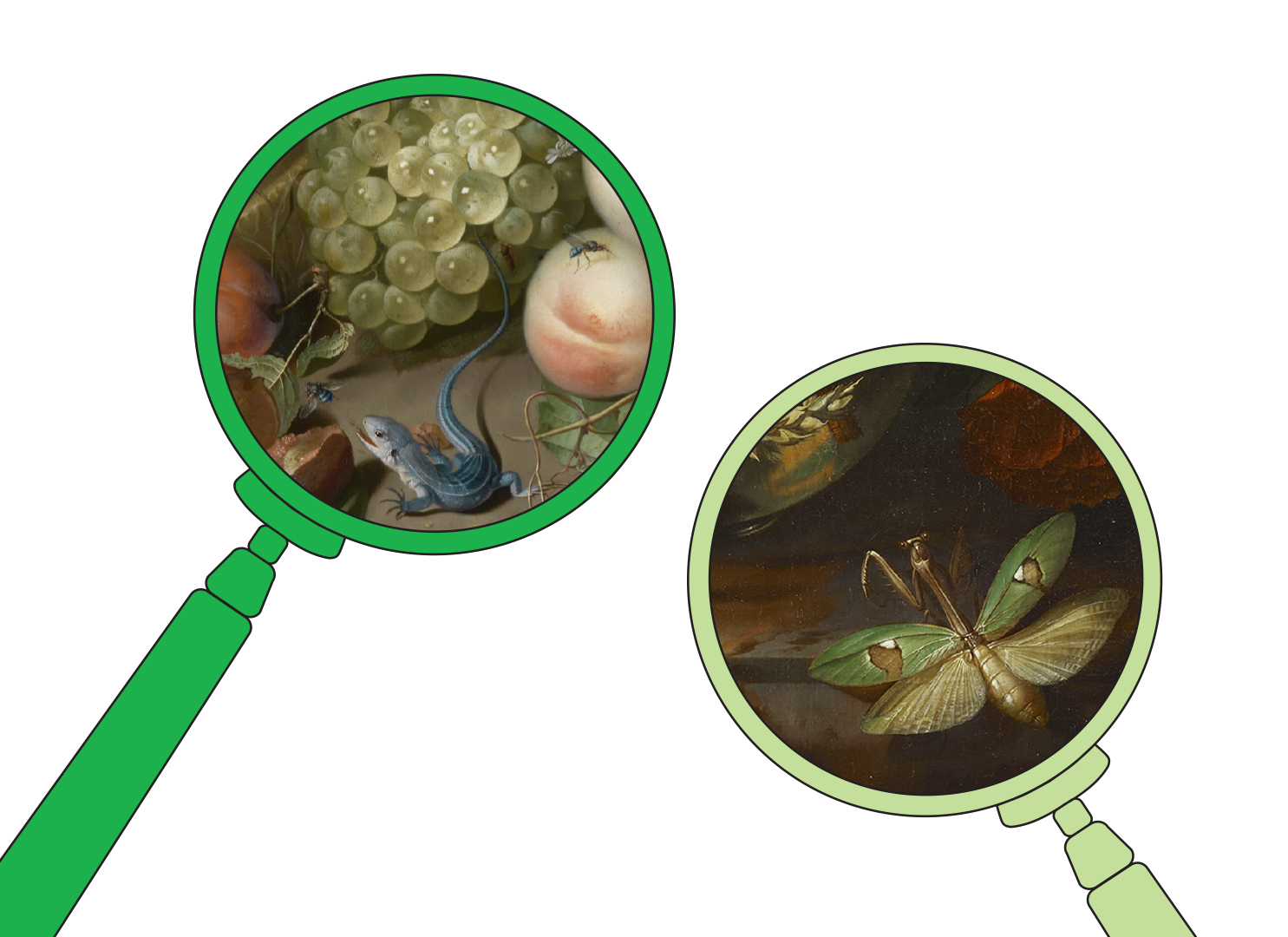 Details of paintings with insects and reptiles are shown inside graphic representations of magnifying glasses