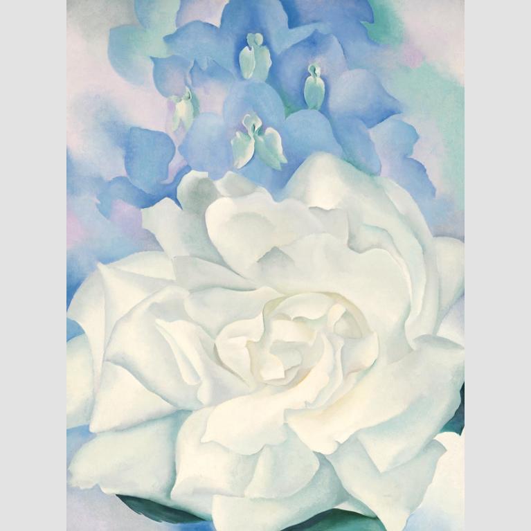 Painting of a large white rose with larkspurs in background