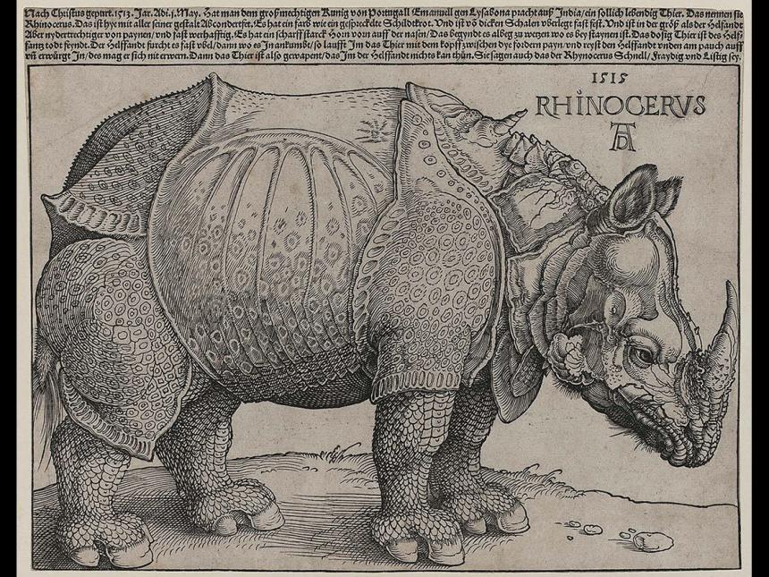 Albrecht Dürer's print, Rhinoceros
