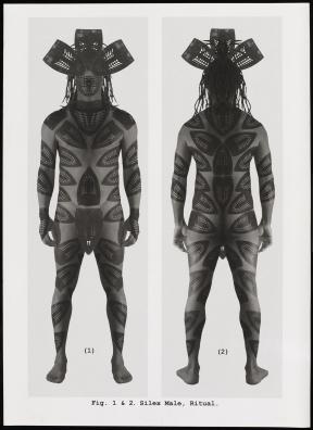 A print of adjacent images of the front and back of a standing man covered in leaf-like body paint and headwear