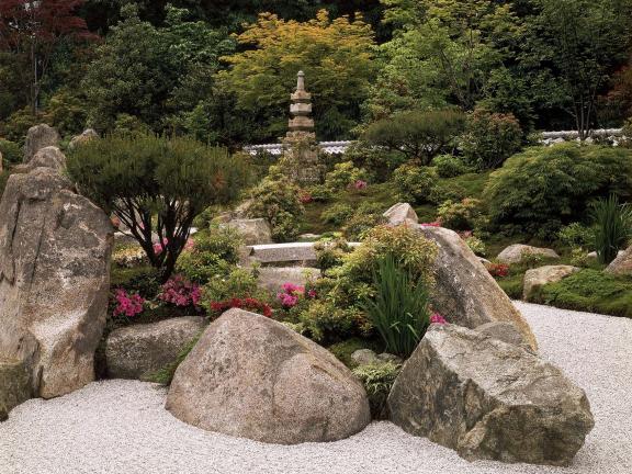 View of Japanese Garden, with rocks and shrubs amidst raked pebbles