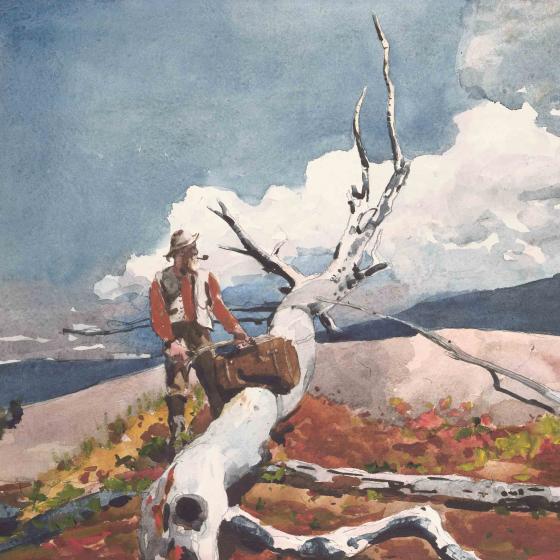 A man stands beside a fallen tree branch on a mountaintop.