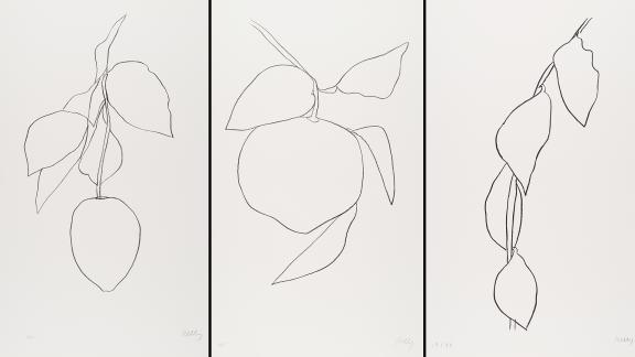 Black contour line drawings of abstract shapes resembling fruit, branches, and leaves against a white background.