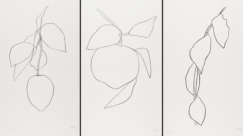 Black contour line drawings of abstract shapes resembling fruit, branches, and leaves against a white background.