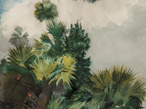 Winslow Homer, Palm Trees, Florida, 1904. 