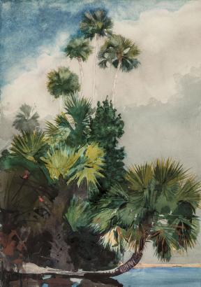 Winslow Homer, Palm Trees, Florida, 1904. 