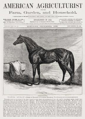 Reduced reproduction of the title page of the December 1866 issue of "American Agriculturist for the Farm, Garden, and Household" featuring a horse in a barn.