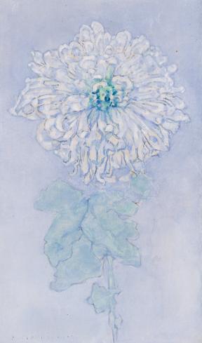 A light green and white chrysanthemum against a purple-blue background.