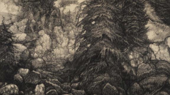 A charcoal drawing of tall evergreen trees growing out of large rocks and stretching into clouds.