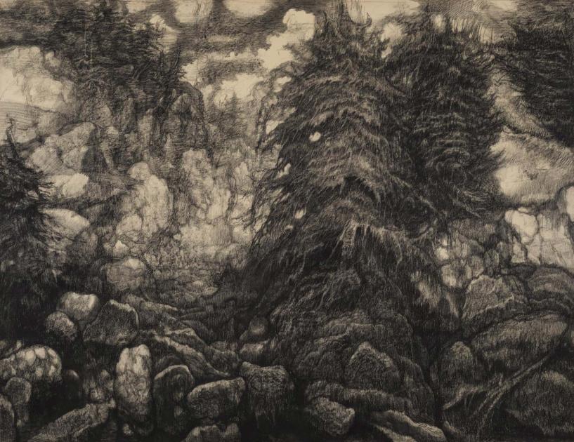 A charcoal drawing of tall evergreen trees growing out of large rocks and stretching into clouds.