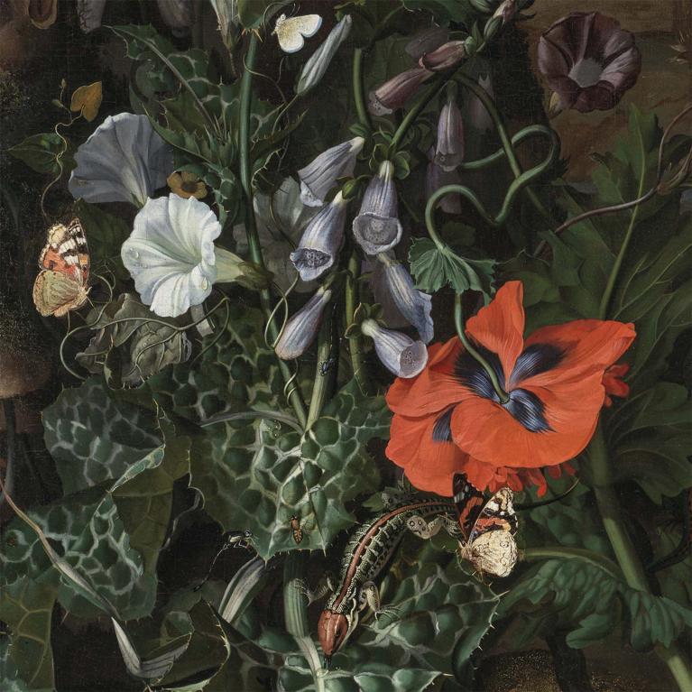 Rachel Ruysch, Forest Floor with a Classical Facade Beyond (detail), about 1687.