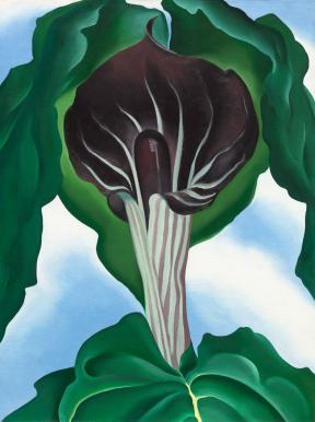 Georgia O'Keeffe painting depicting tall, dark, purplish flower surrounded by green leaves on a blue sky background