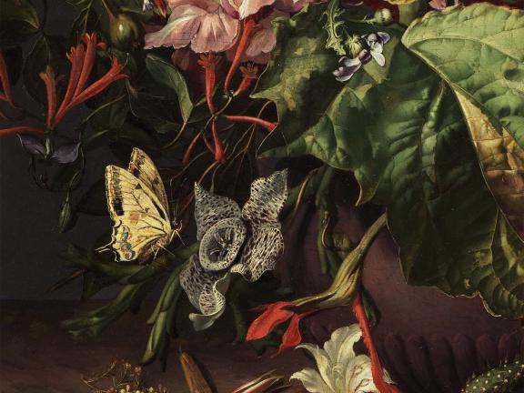 Rachel Ruysch, Still Life of Exotic Flowers on a Marble Ledge (detail), about 1735