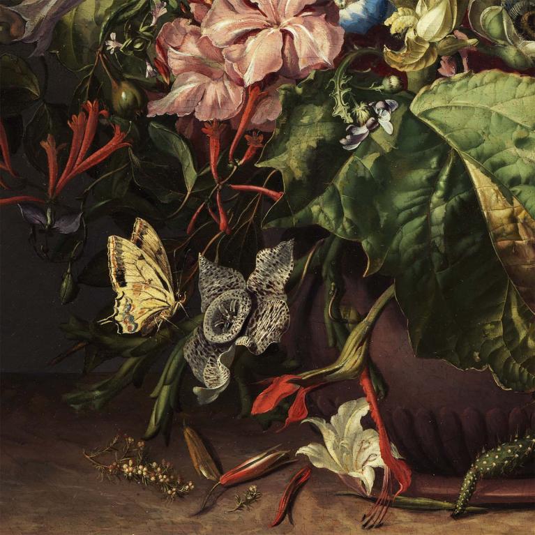 Rachel Ruysch, Still Life of Exotic Flowers on a Marble Ledge (detail), about 1735