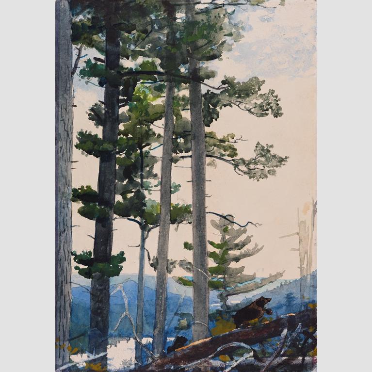 Winslow Homer, Old Settlers, 1892. 