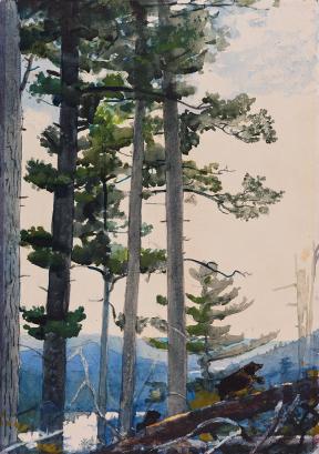 Winslow Homer, Old Settlers, 1892. 