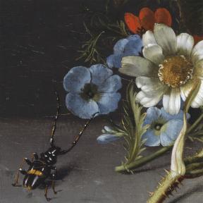 Rachel Ruysch, Posy of Flowers with a Beetle on a Stone Ledge (detail), 1741.