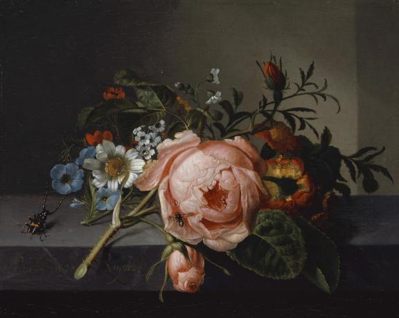 Rachel Ruysch, Posy of Flowers with a Beetle on a Stone Ledge, 1741