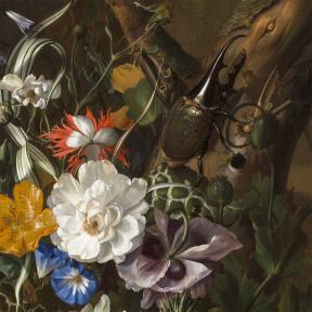 Rachel Ruysch, Forest Recess with Flowers (detail), about 1686. 