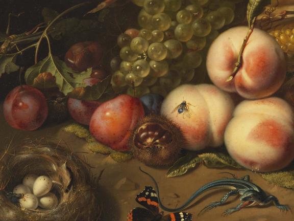 Rachel Ruysch, Still Life with Fruit (detail), 1711. 