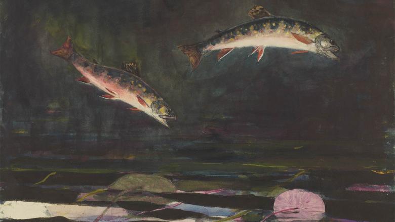Two trout leap out of rippling water against a dark background.