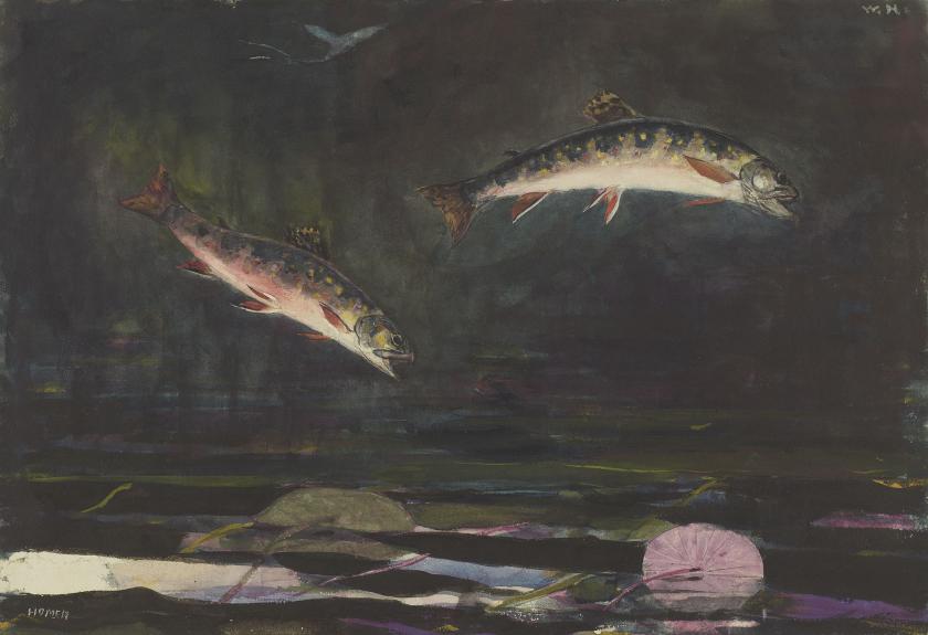 Two trout leap out of rippling water against a dark background.
