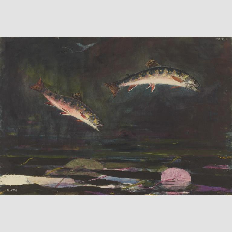 Winslow Homer, Leaping Trout, 1889. 